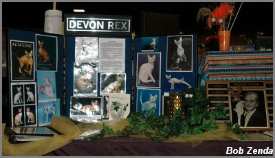 Devon Breed Booth